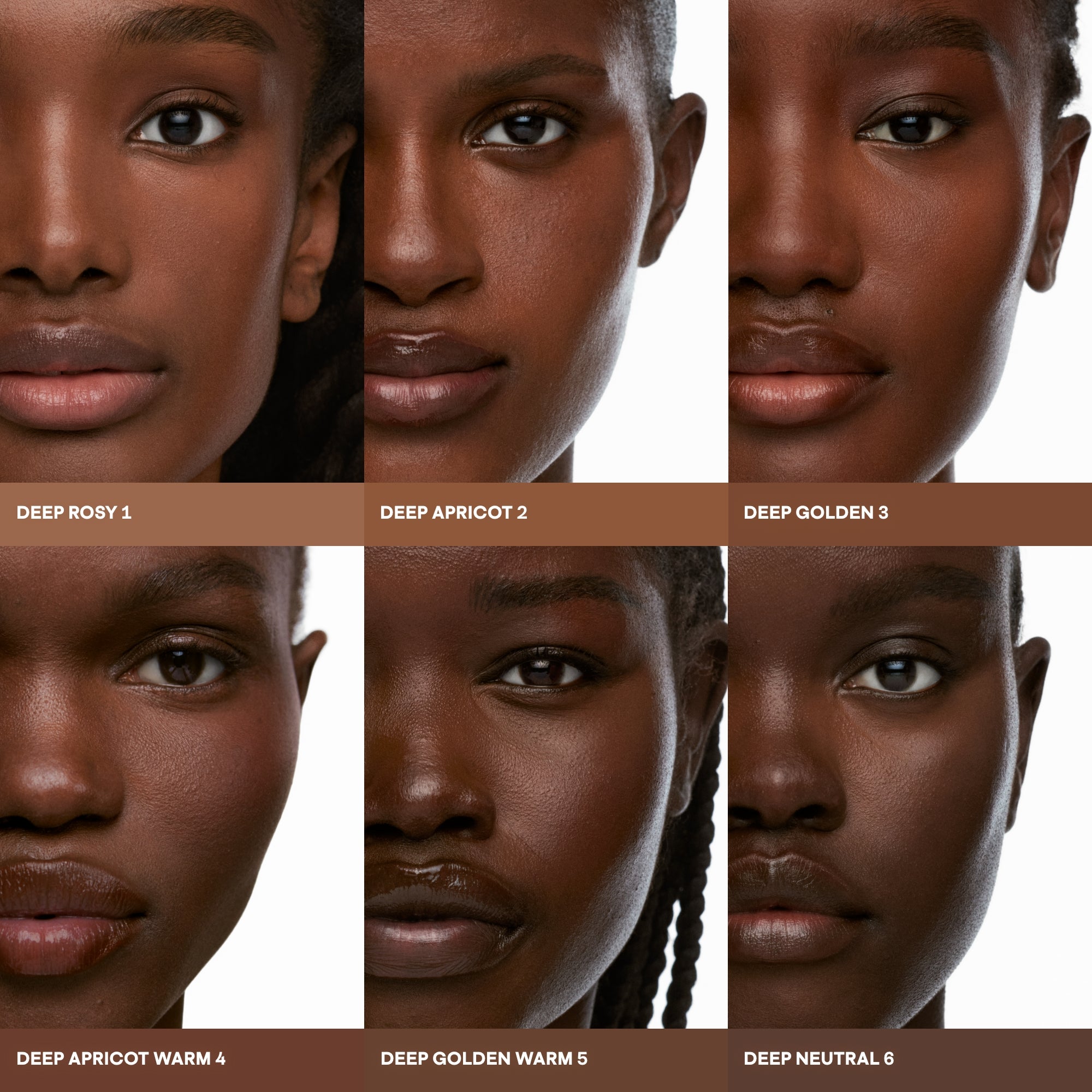 #color_DEEP NEUTRAL 6