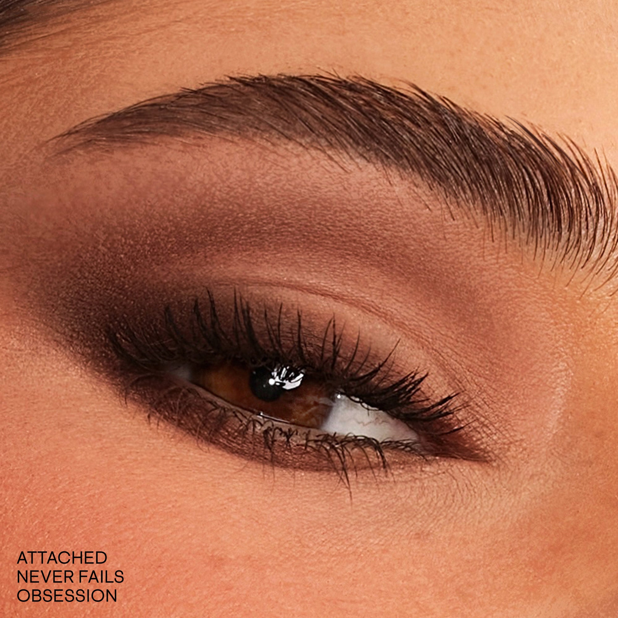 #color_Major Dimension Essential Artistry Edit Eyeshadow Palette (Medium)