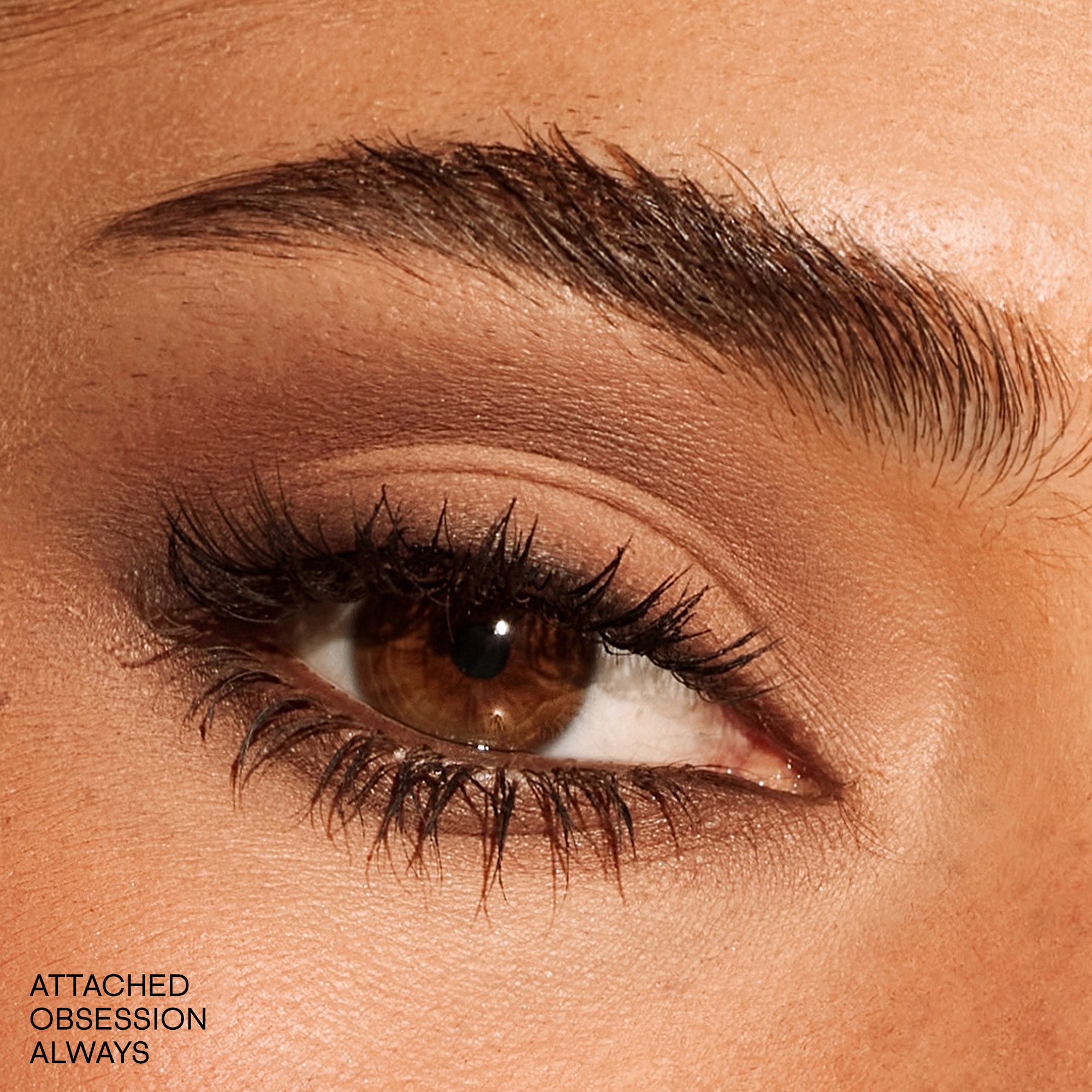 #color_Major Dimension Essential Artistry Edit Eyeshadow Palette (Medium)