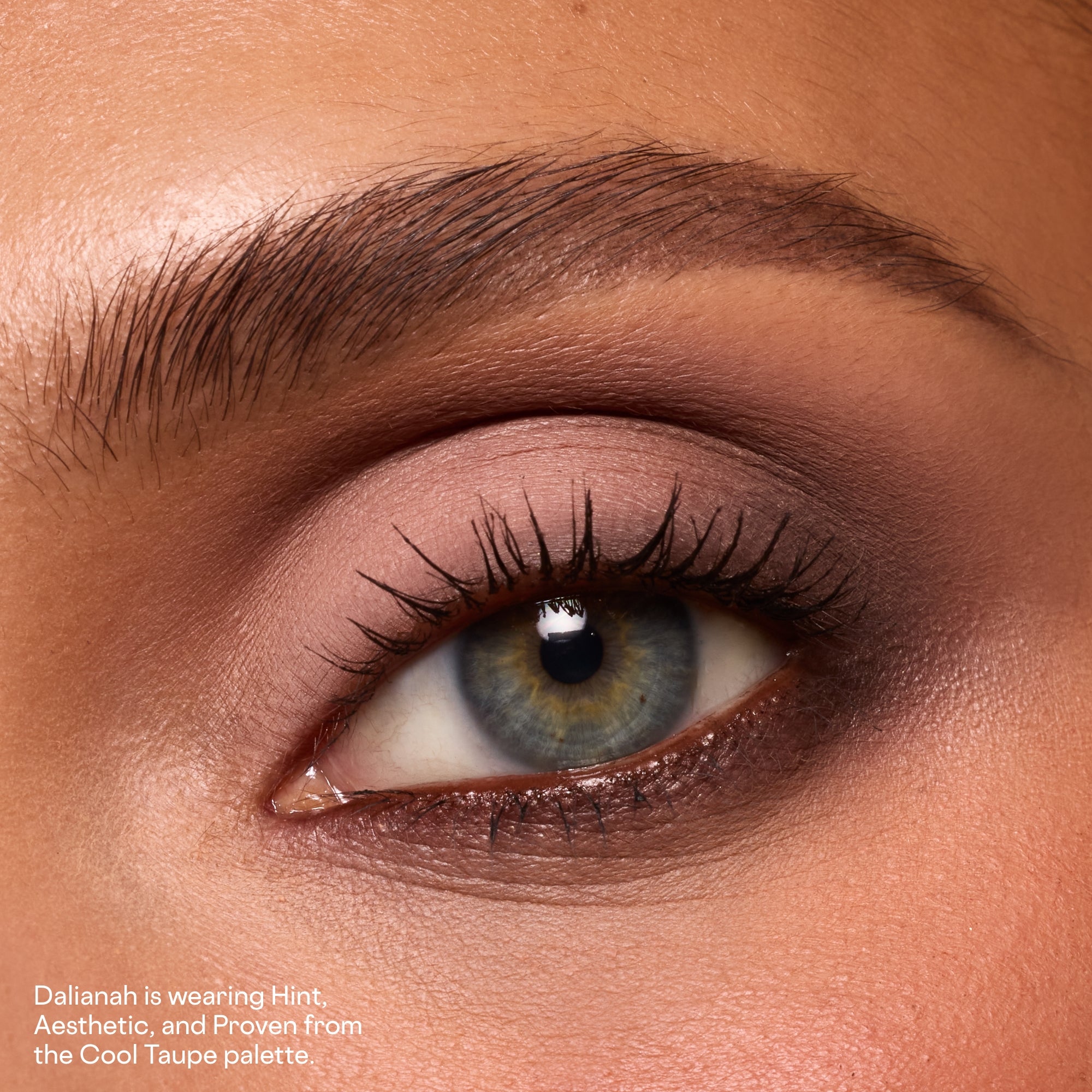 #color_Cool Taupe